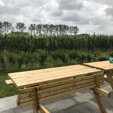 Hoeve Oude Tol Zuidzande Exterior photo