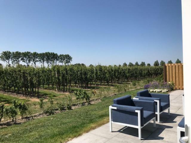 Hoeve Oude Tol Holiday home Zuidzande