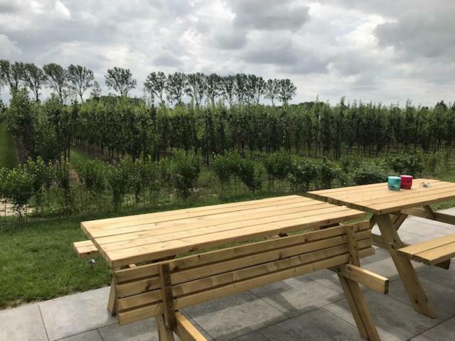 Hoeve Oude Tol Holiday home Zuidzande