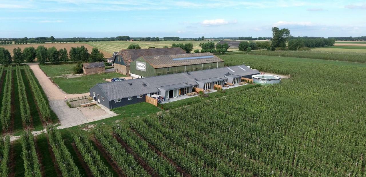Hoeve Oude Tol Holiday home Zuidzande